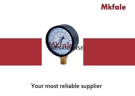 SMTB فولاد ضد زنگ فشار مایع فشار سنج فولاد سیاه و سفید G / NPT / موضوع دیگر